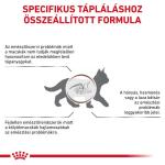 Támogasd a cicákat Royal Canin Veterinary Feline Gastrointestinal Kitten – mi megvesszük helyetted!