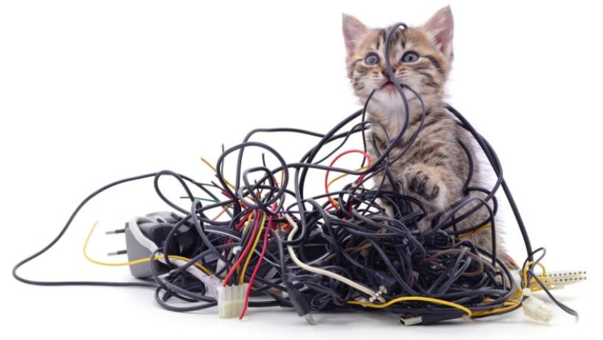 A cicára leselkedő veszélyek az othonodban